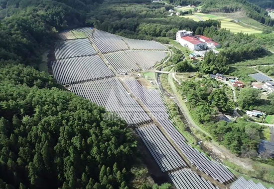 春回大地，迈贝特见证日本福岛重焕生机